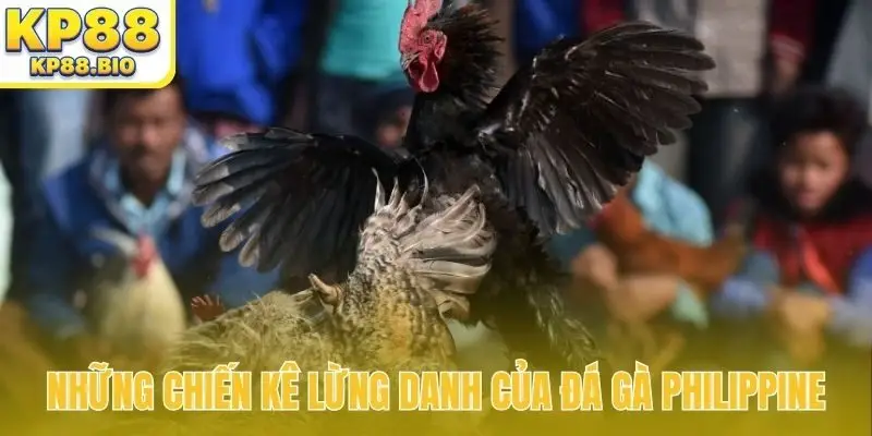 Những chiến kê lừng danh của đá gà Philippine